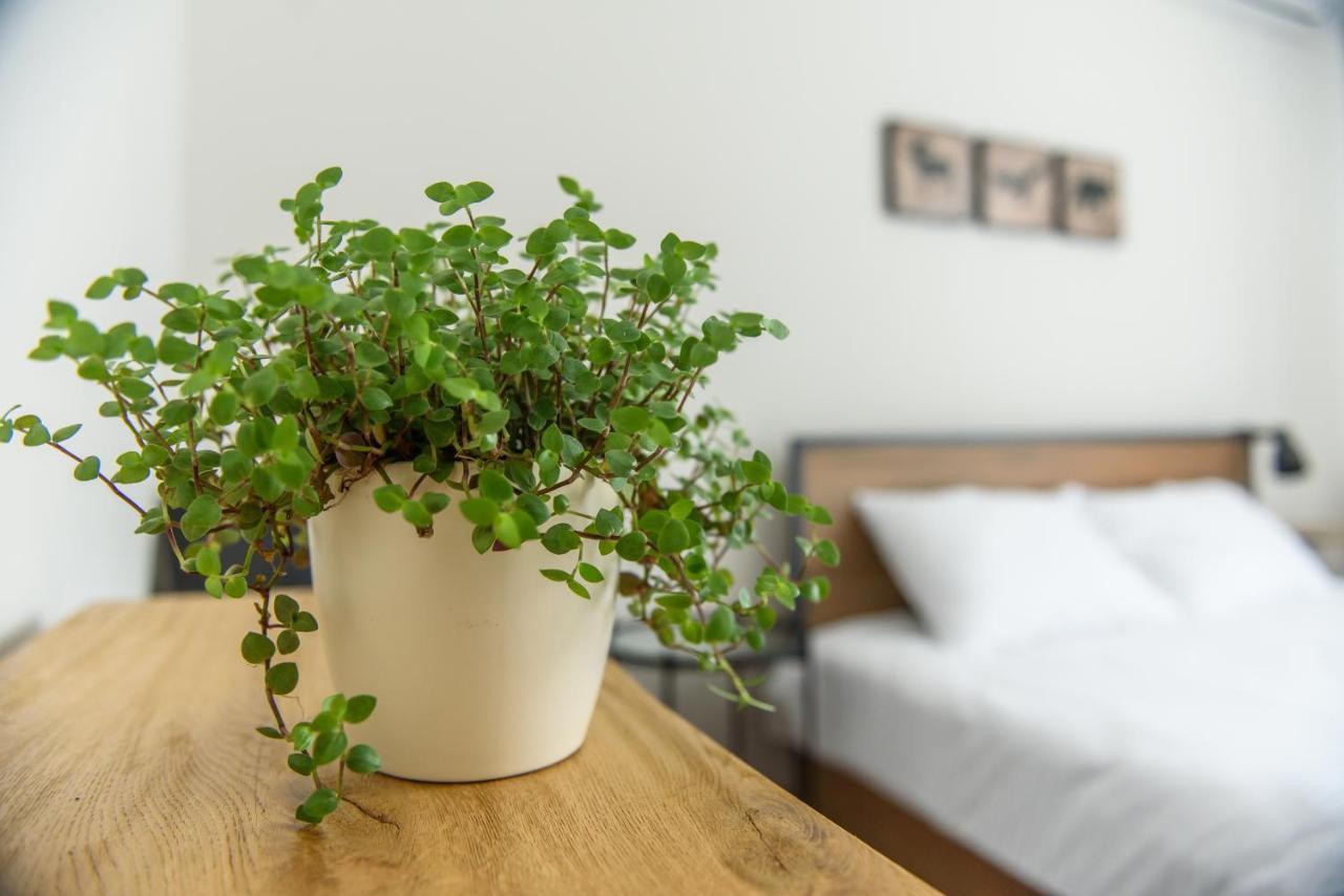 Tamtam Urban Aparthotel Cluj-Napoca Luaran gambar